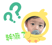 845009829