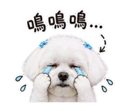 845009901