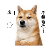 845009954