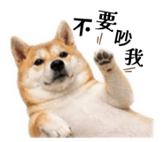 845009957