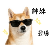 845009960