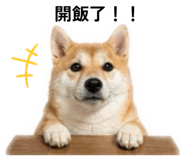 845009962