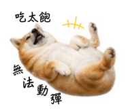 845009967
