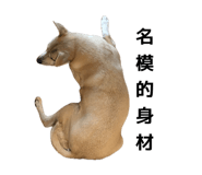 845010613