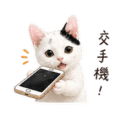 845010801