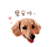 845011332