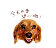 845011334