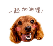 845011335