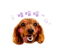 845011339