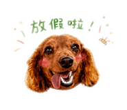 845011341