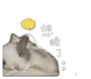 845012324
