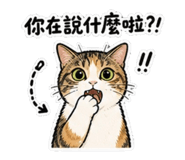 845012603