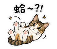 845012607