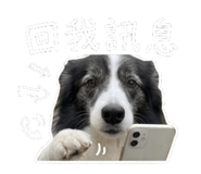 845012972
