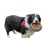 845012975