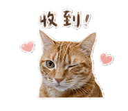 845013326