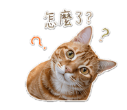 845013329