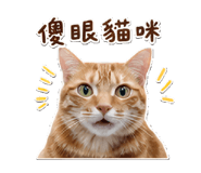 845013332