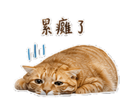 845013333