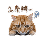 845013345