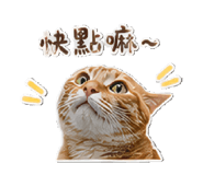 845013351