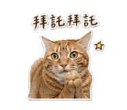 845013352