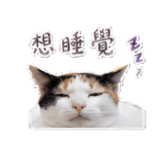 845013383