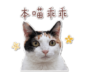 845013404