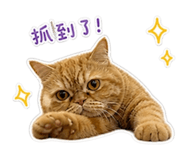 845015014