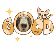 845015442