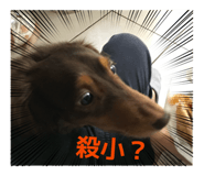 845015444