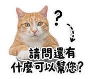 845015726