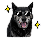 845015804