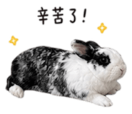 845016310