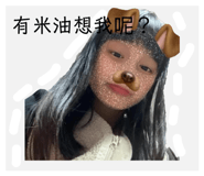 845016334