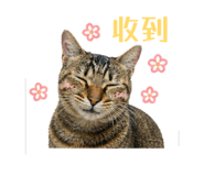 845016804