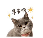 845017551