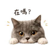 845017553