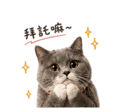 845017554
