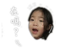 845017635