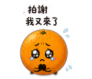 845018207