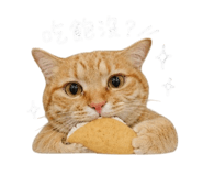 845018721