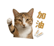 845018963