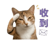 845018964
