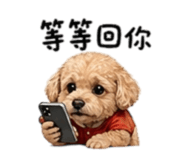 845020012