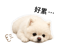 845020831
