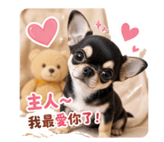 845021657