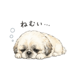 845023619