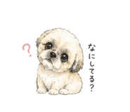 845023623