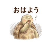 845023937